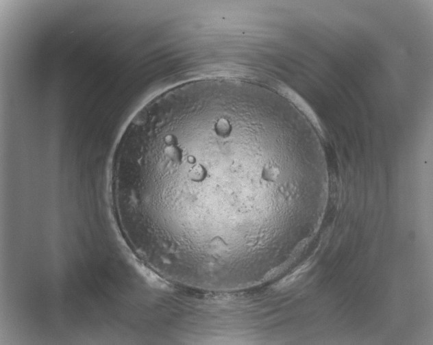 X0000076071099200609221150