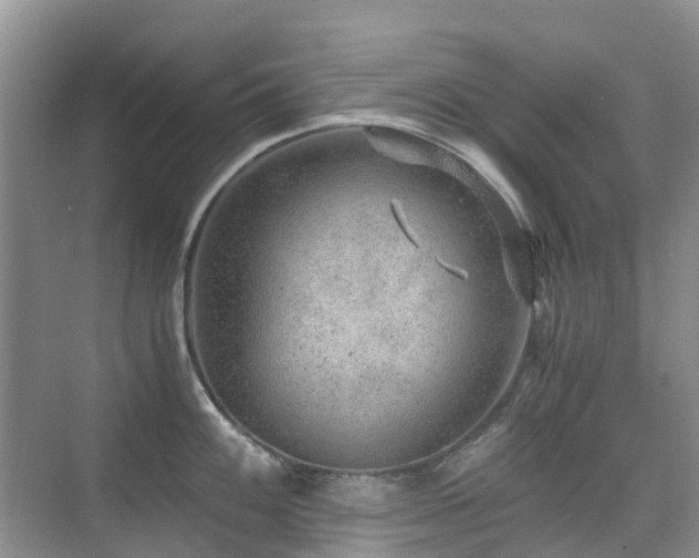 X0000076071100200609221150