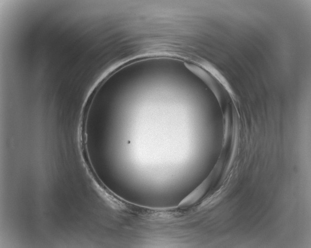 X0000076071101200609221150