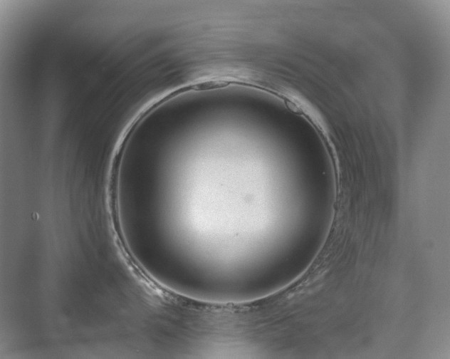 X0000076071104200609221150