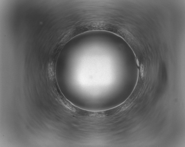 X0000076071107200609221149