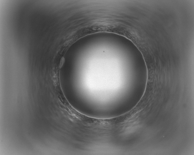 X0000076071109200609221149