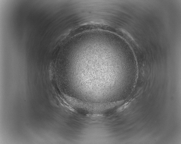 X0000076071110200609221149