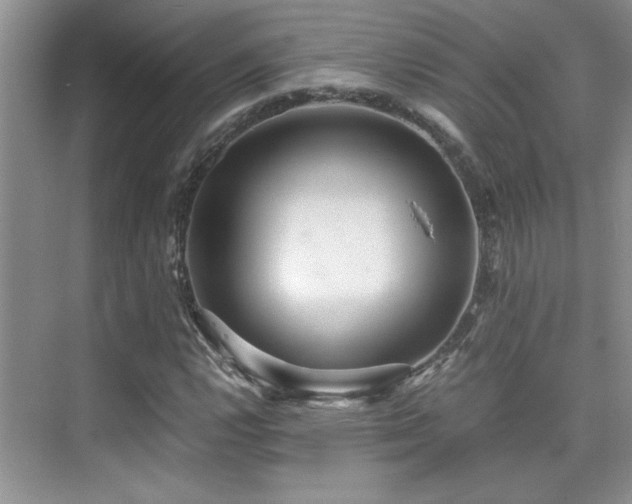 X0000076071112200609221149