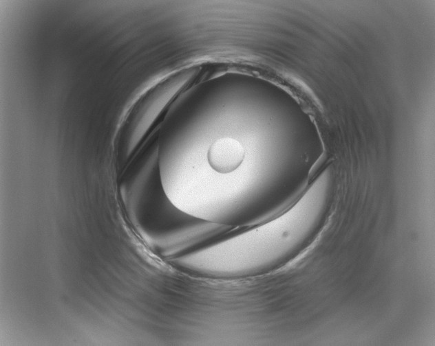 X0000076071114200609221149