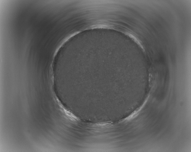 X0000076071117200609221149