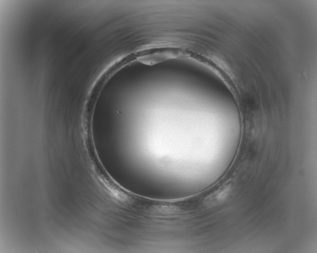 X0000076071119200609221149