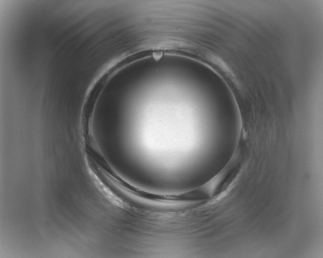 X0000076071122200609221149