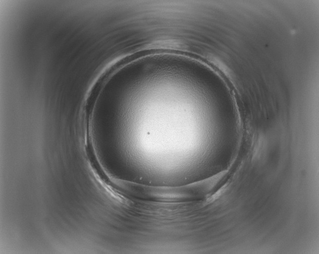 X0000076071123200609221149