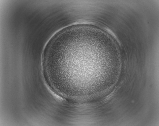 X0000076071124200609221149