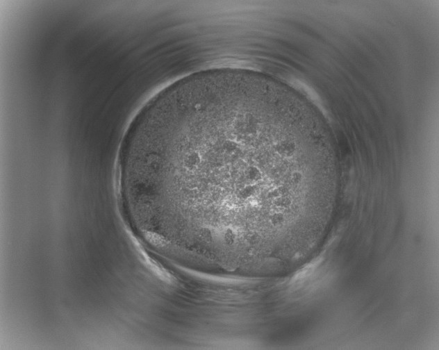 X0000076071125200609221149