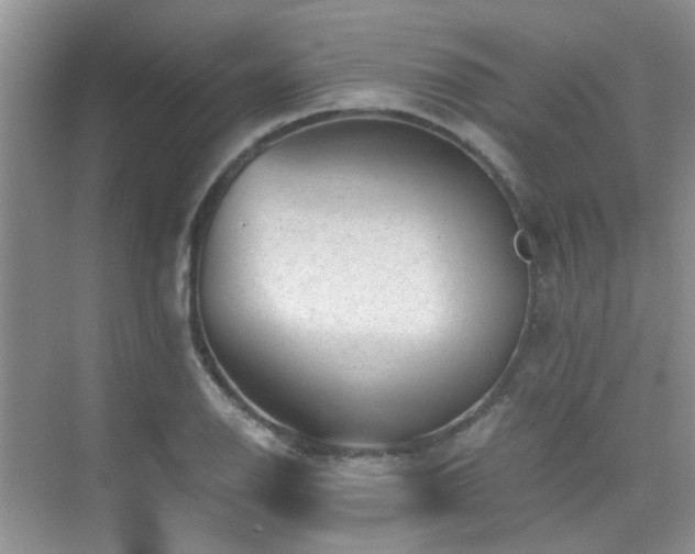 X0000076071126200609221149