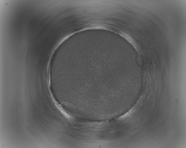 X0000076071127200609221149