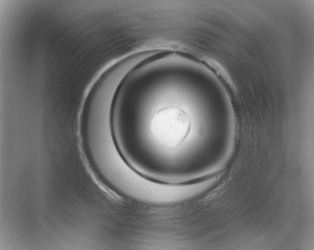 X0000076071128200609221149