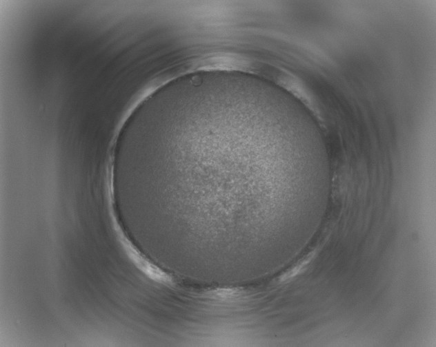 X0000076071130200609221149