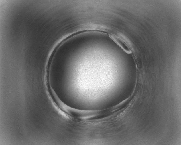 X0000076071136200609221149