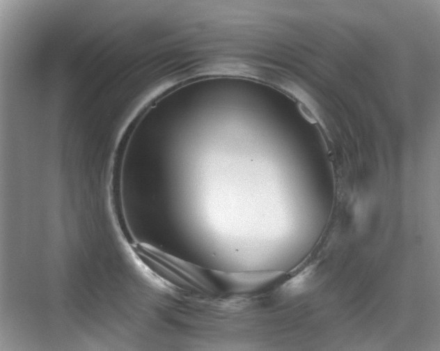 X0000076071139200609221149