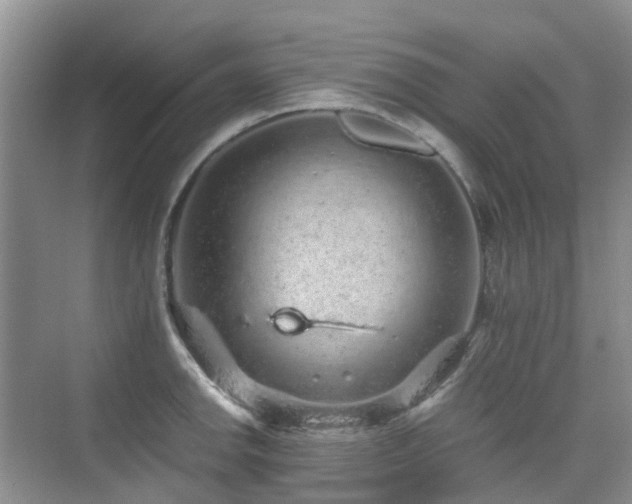 X0000076071142200609221150