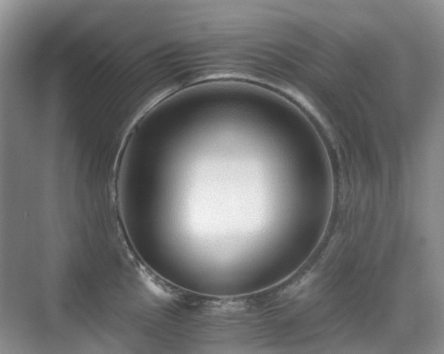 X0000076071145200609221150