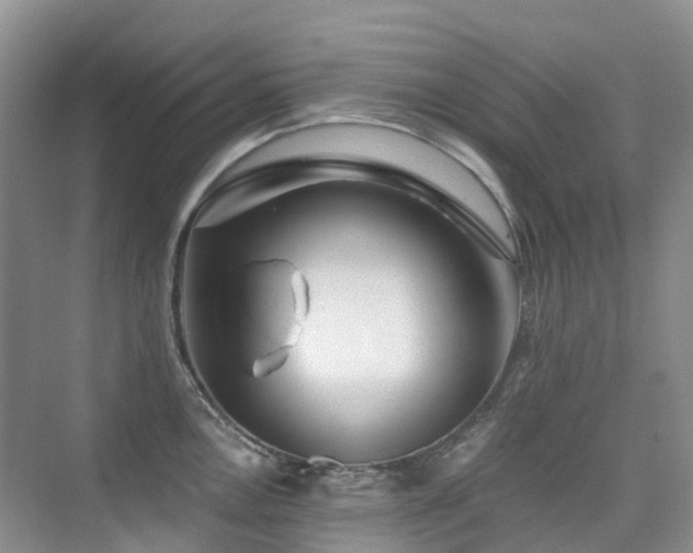 X0000076071146200609221150