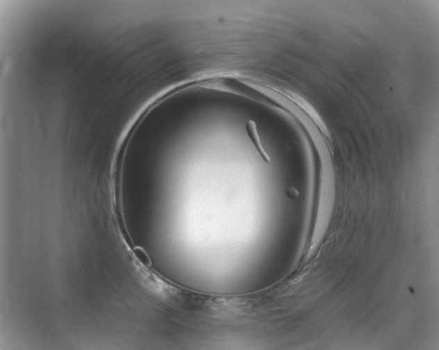 X0000076071148200609221150