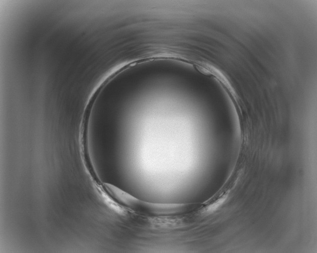 X0000076071149200609221150