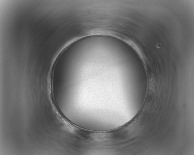 X0000076071150200609221150