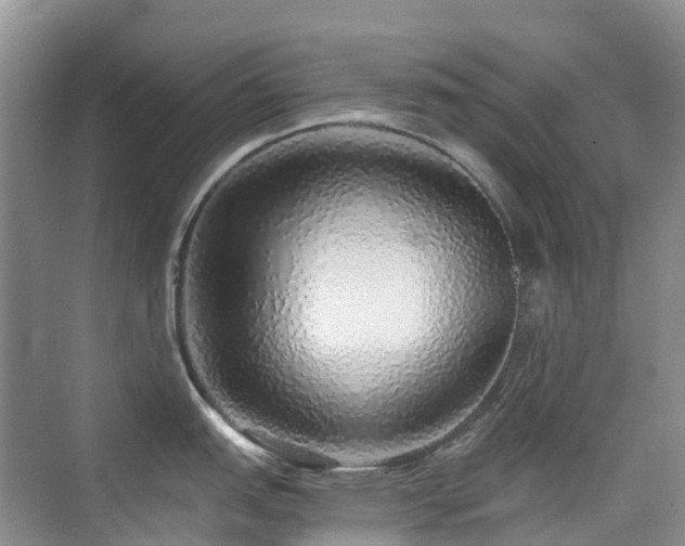 X0000076071151200609221150