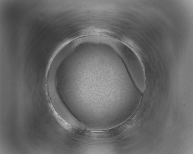 X0000076071152200609221150