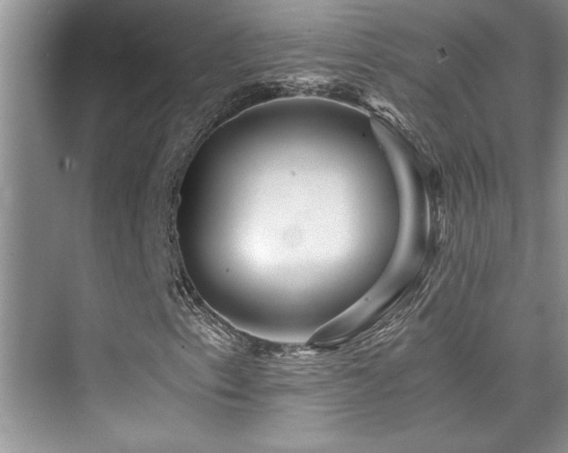 X0000076071153200609221149