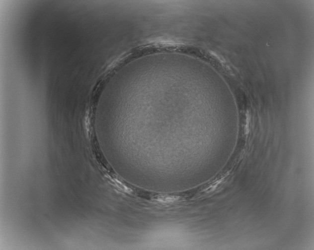 X0000076071157200609221149