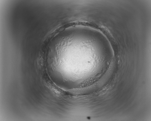 X0000076071159200609221149