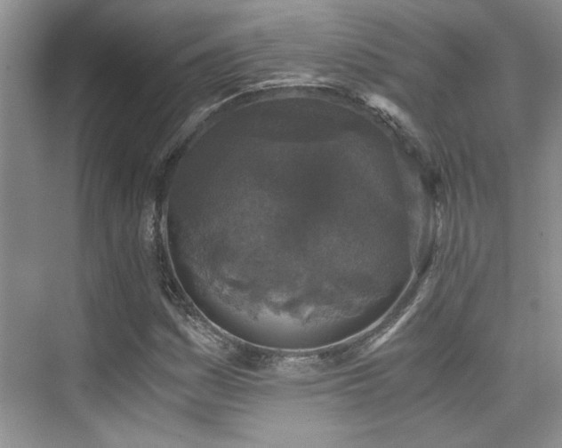 X0000076071161200609221149