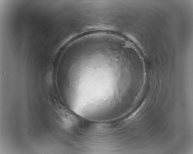 X0000076071163200609221149