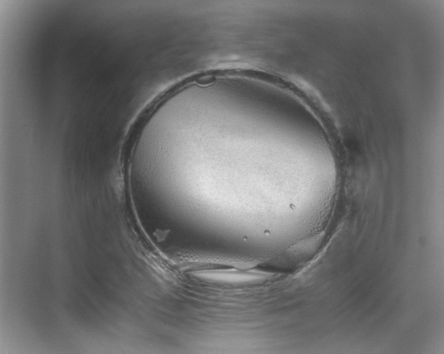 X0000076071167200609221149