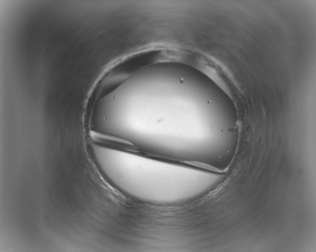 X0000076071168200609221149