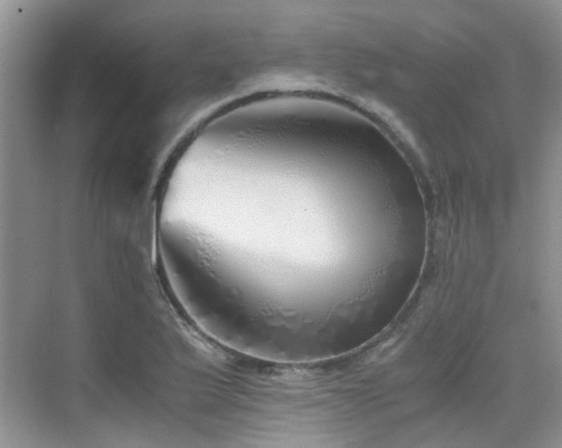 X0000076071175200609221149