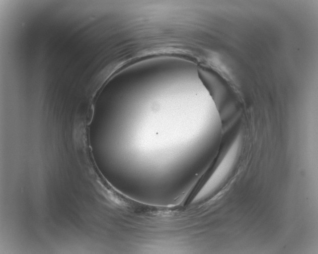 X0000076071177200609221148