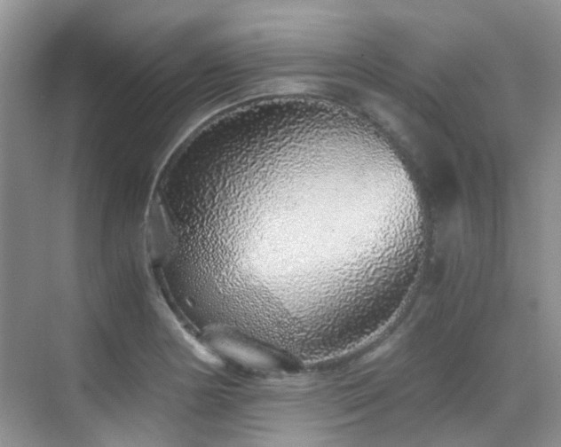 X0000076071178200609221148