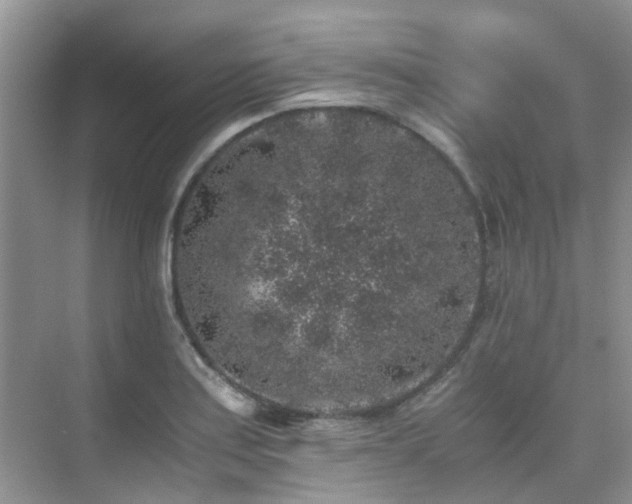 X0000076071179200609221148