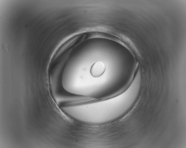 X0000076071184200609221148