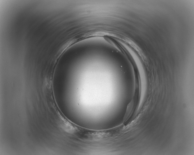 X0000076071193200609221148