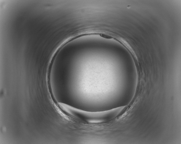 X0000076071197200609221148