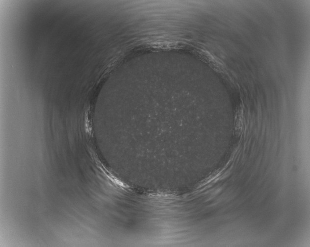 X0000076071202200609221147