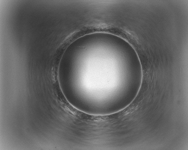 X0000076071205200609221147