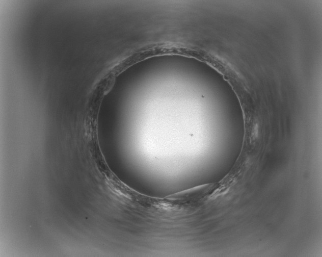 X0000076071207200609221147