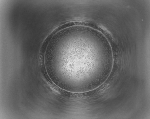 X0000076071208200609221147