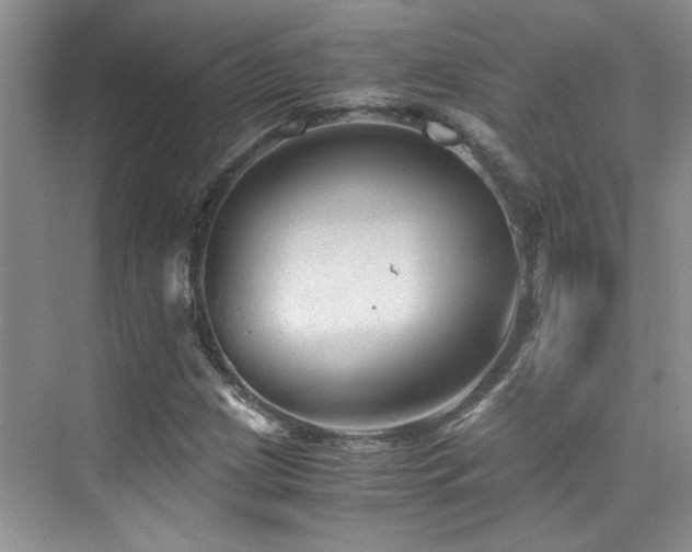 X0000076071209200609221147