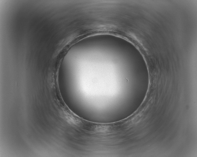 X0000076071211200609221147