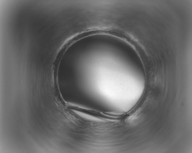 X0000076071214200609221148